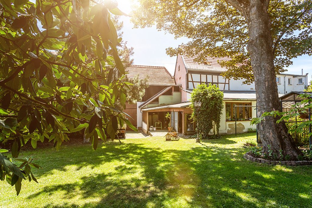 Tagesstätte für Suchtkranke in Eisenberg: Ein Klient der Einrichtung kümmert sich im Gartenprojekt um die Rosen.