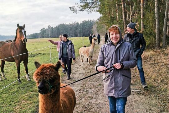 Jugendliche mit Alpakas bei erlebnispädagogischer Wanderung
