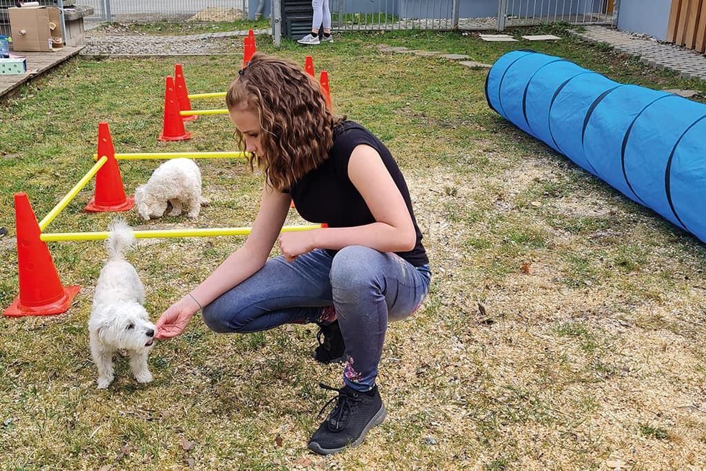 Jugendliche beim sozialen Kompetenztraining