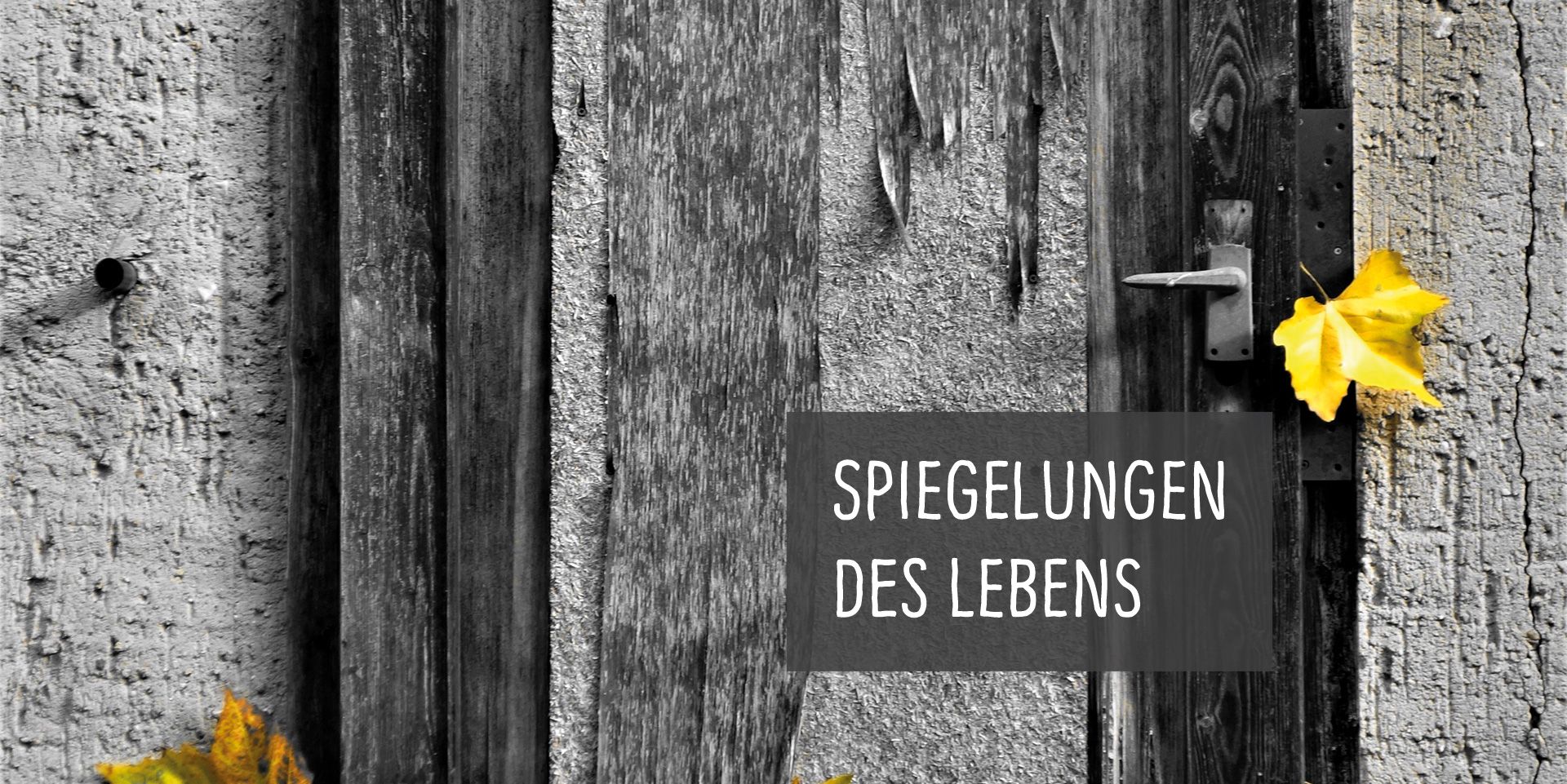 Photomotion – die Foto-AG im JHZ Bad Köstritz Detailaufnahme einer uralten Tür mit gelben Herbstblättern als Symbolfoto für das Fotoprojekt „Spiegelungen des Lebens”
